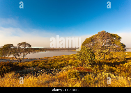 Am frühen Morgen an der felsigen Talsperre in der Nähe von Falls Creek auf der Bogong High Plains in Lake National Park, Victoria, Australien Stockfoto