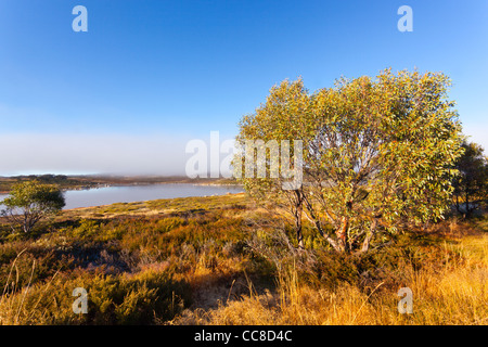 Am frühen Morgen an der felsigen Talsperre in der Nähe von Falls Creek auf der Bogong High Plains in Lake National Park, Victoria, Australien Stockfoto