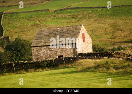 Eine Scheune oder Stall, Bauernhof in der Nähe von Low-Neubauten, Baldersdale, Teesdale, County Durham, England Stockfoto