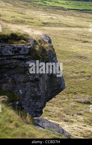 Goldsborough Carr auf der Pennine Way, Baldersdale, Teesdale, County Durham, England Stockfoto