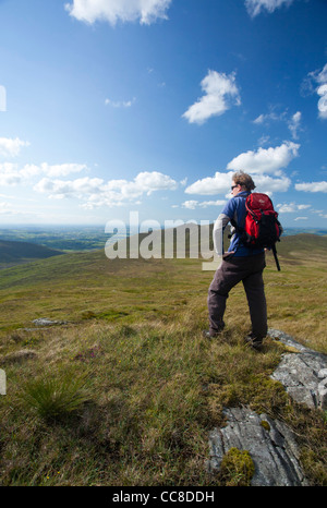 Walker, über Spelga und Rocky Valley von Pigeon Rock Mountain, Mourne Mountains, County Down, Nordirland. Stockfoto