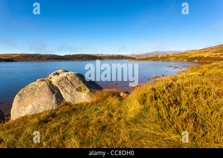 Am frühen Morgen an der felsigen Talsperre in der Nähe von Falls Creek auf der Bogong High Plains in Lake National Park, Victoria, Australien Stockfoto