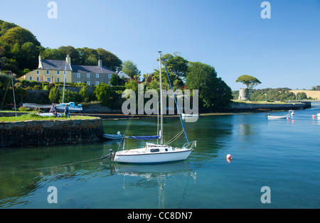 Segelboote vor Anker im Hafen von Strangford, Strangford Lough, County Down, Nordirland. Stockfoto