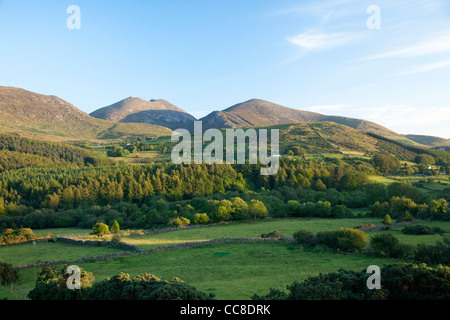 Ackerland und Wald unter die Mourne Mountains, County Down, Nordirland.