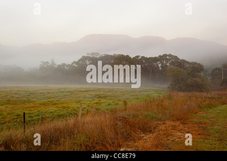 Misty Sonnenaufgang über Mount Buffalo und Mount Buffalo National Park von Buckland Valley in der Nähe von Porepunkah, Hell im Nordosten Victoria, Australien Stockfoto