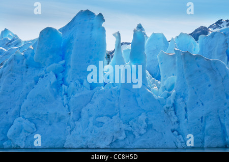 Grey Gletscher beenden in Lago Grey, Torres del Paine Nationalpark-Chile Stockfoto