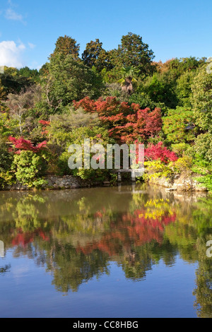 Reflexion im Kyoyochi Teich im Garten des Ryōan-Ji Tempels, Kyoto, Japan, im Herbst zu sehen. Stockfoto