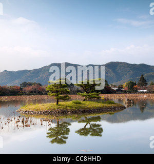 Osawa Teich in der Daikaku-Ji-Tempel-Komplex in Sagano am westlichen Stadtrand von Kyoto. Stockfoto