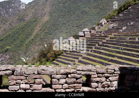 Machu Picchu, Peru. Die landwirtschaftlichen Terrassen. Stockfoto