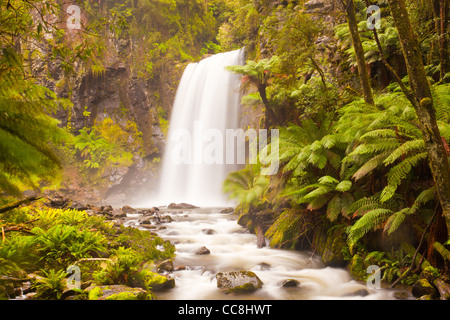 Hopetoun fällt auf die Aire Fluss in der Great Otway National Park in der Nähe von Lavers Hill, Great Ocean Road, South West Coast von Victoria, Australien Stockfoto