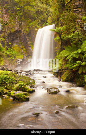 Hopetoun fällt auf die Aire Fluss in der Great Otway National Park in der Nähe von Lavers Hill, Great Ocean Road, South West Coast von Victoria, Australien Stockfoto