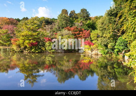 Reflexion im Kyoyochi Teich im Garten des Ryōan-Ji Tempels, Kyoto, Japan, im Herbst zu sehen. Stockfoto