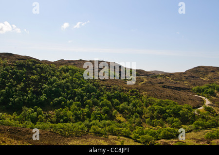 Schottischen Highlands, Moores, Aussicht auf Berge, Segeln Ghorm 776m, Quinag 809m, Nord-West-Schottland Stockfoto