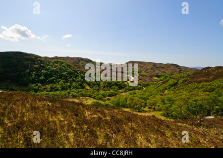 Schottischen Highlands, Moores, Aussicht auf Berge, Segeln Ghorm 776m, Quinag 809m, Nord-West-Schottland Stockfoto