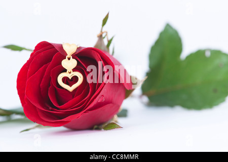 Gold Herz-Anhänger und rote Rose auf weißem Hintergrund Stockfoto