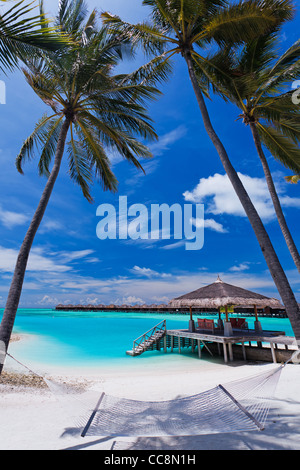 Leere Hängematte zwischen Palmen am tropischen Strand Stockfoto