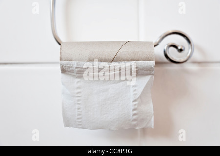 leere Toilettenpapierrolle und Halter Stockfoto