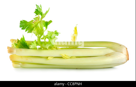 Frische Sellerie isoliert auf weißem Hintergrund Stockfoto