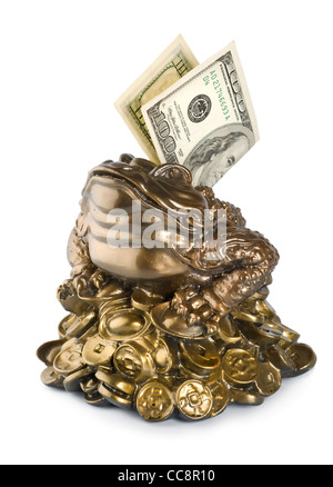 Kässeli Frosch auf einem weißen Hintergrund isoliert Stockfoto