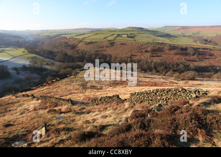 Gritstone Moorland im Peak District Stockfoto