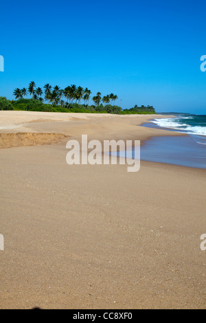 Ein Blick auf Marakolliya Strand in Sri Lanka Stockfoto