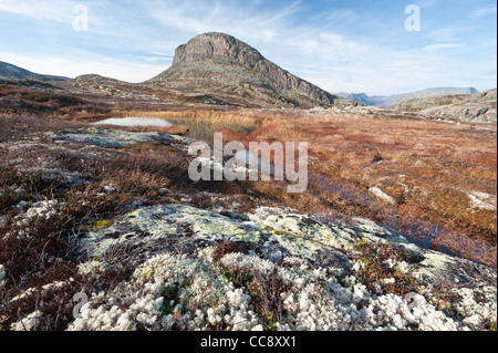 Berglandschaft von Storehødn im Herbst, Hemsedal, Norwegen. Stockfoto