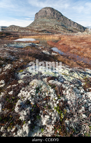 Berglandschaft von Storehødn im Herbst, Hemsedal, Norwegen. Stockfoto