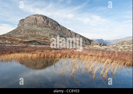 Berglandschaft von Storehødn im Herbst, Hemsedal, Norwegen. Stockfoto