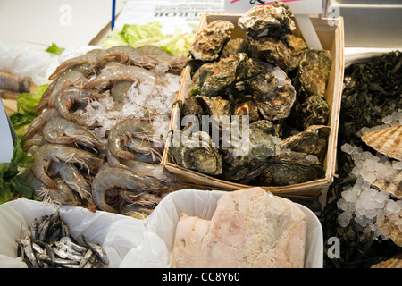 Frische Austern Krebse Fischen zu verkaufen Stockfoto