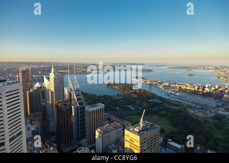 Sydney-Bucht und CBD Innenstadt vom Sydney Tower Eye Stockfoto