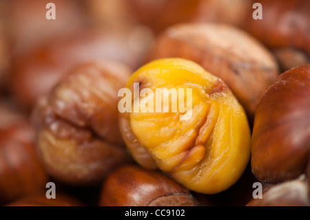 einzelne geschälte gebratene Kastanien Kernel mit anderen warten Stockfoto