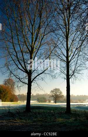 Ein Frostiger Morgen in Lloyd Park Croydon, Surrey, UK. Portraitbild. Stockfoto