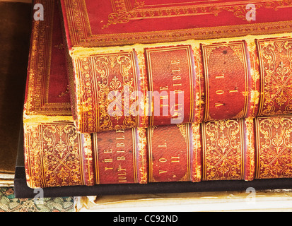 Stacheln der zweibändige Leder gebunden Bibel Stockfoto