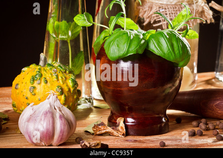 Gewürze und frische Kräuter im alten Keller Stockfoto