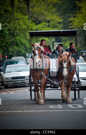 Touristen, die von einer Pferdekutsche nahe The Historic District in Savannah Georgia USA gezeigt Stockfoto