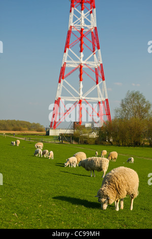 Dieses Strommastes befindet sich in Hetlingen, in der Nähe von Hamburg ist Europas höchste Strommasten mit 227 m Höhe. Stockfoto