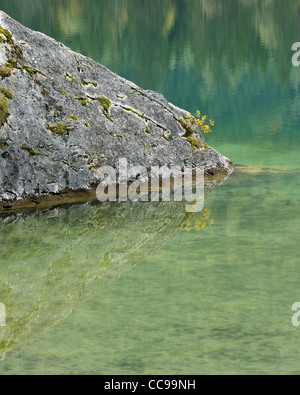 Rock im See Hintersee, Nationalpark Berchtesgaden, Bayern, Deutschland Stockfoto