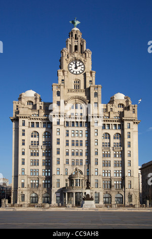 Die königlichen Leber auf Liverpool Ufergegend an das Pierhead Gebäude. Stockfoto