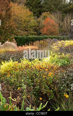 Die Hot-Garten im Herbst, RHS Rosemoor, Devon, England, Vereinigtes Königreich Stockfoto
