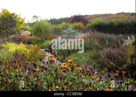 Die Hot-Garten im Herbst, RHS Rosemoor, Devon, England, Vereinigtes Königreich Stockfoto