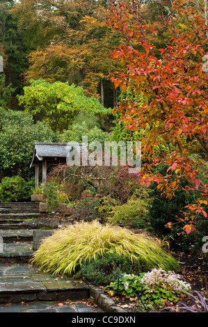 Der Steingarten im Herbst, RHS Rosemoor, Devon, England, Vereinigtes Königreich Stockfoto