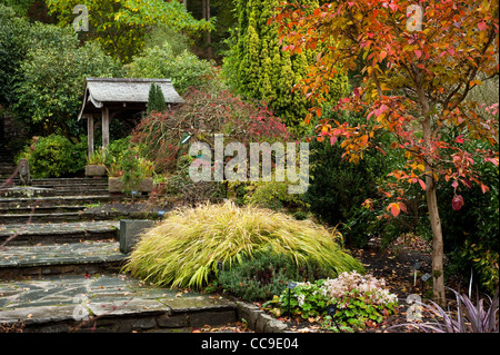 Der Steingarten im Herbst, RHS Rosemoor, Devon, England, Vereinigtes Königreich Stockfoto