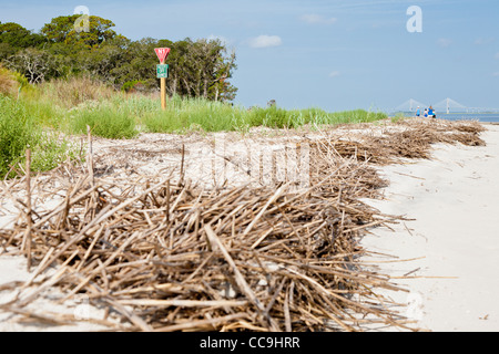 Anzeichen versuchen, Besucher aus Sanddünen im Driftwood Beach auf Jekyll Island, Georgia Stockfoto