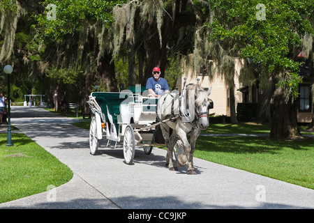 Pferd-Pferdekutsche-Anbieter auf Jekyll Island, Georgia. Stockfoto