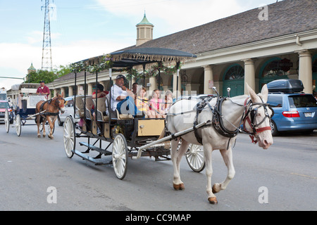 Pferd und Wagen Anbieter im Gespräch mit seinen Passagieren in Decatur Street im French Quarter von New Orleans, LA Stockfoto