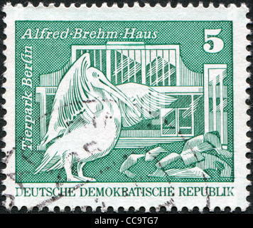 DDR - CIRCA 1973: Eine Briefmarke gedruckt in DDR, zeigt Alfred-Brehm-Haus, Pelikan, Zoologischer Garten, ca. 1973 Stockfoto