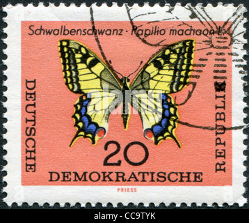 DDR - CIRCA 1964: Eine Briefmarke gedruckt in DDR, zeigt einen Schwalbenschwanz-Schmetterling, ca. 1964 Stockfoto