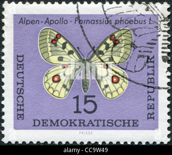 DDR - CIRCA 1964: Eine Briefmarke gedruckt in DDR, zeigt einen Schmetterling Parnassius Phoebus, ca. 1964 Stockfoto