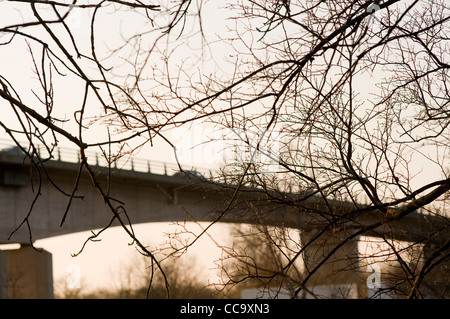 Moderne Brücke mit einem vorbeifahrenden Auto umrahmt von Bäumen am Ufer des Flusses Herault, Agde, Languedoc-Roussillon, Südfrankreich. Stockfoto