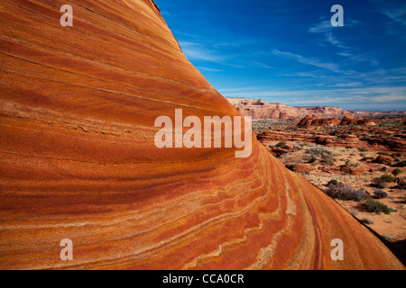 Bands der Farbe vor einem blauen Himmel auf The Wave (Coyote Buttes). Stockfoto